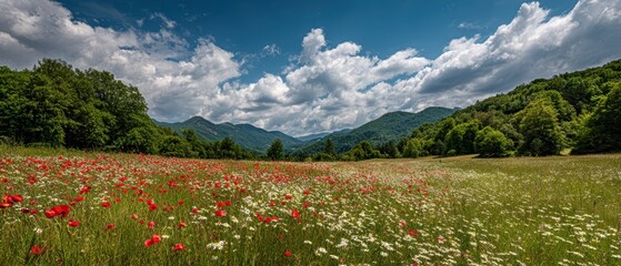 A vibrant wildflower meadow stretches beneath a dramatic sky, surrounded by lush green trees and distant rolling mountains