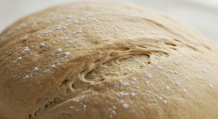 Breads assortment background. Fresh bread on table, flat lay. Close up of a delicious bread