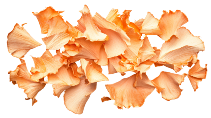 Peach colored petals floating on black background