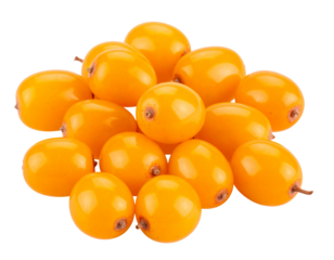  Scattered Sea Buckthorn Berries without Leaves, Transparent PNG