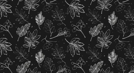 Fototapeta premium Black background with white botanical leaf illustrations pattern 