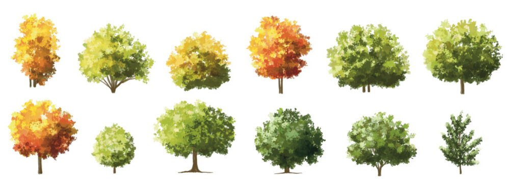 Vertor set of autumn tree,plants side view for landscape elevation and section,eco environment concept design,watercolor ginkgo tree illustration,colorfull