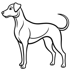 Elegant dog silhouette standing profile view isolated on white background