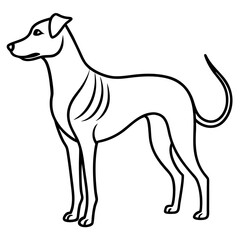 Elegant dog silhouette standing profile isolated on white background