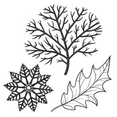 Bare tree branches snowflake and oak leaf winter