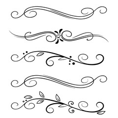 Fototapeta premium Elegant Calligraphic Flourishes and Swirls decorative