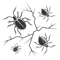 Four insects on jagged black lines bugs arachnids