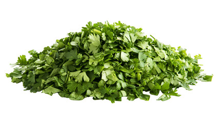Fototapeta premium Fresh Chopped Parsley Pile Green Herb Ingredient