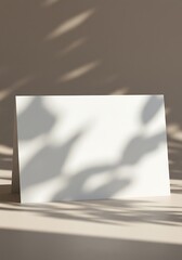 Ephemeral Shadows