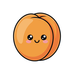 Fototapeta premium A perfectly ripe apricot