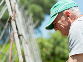 Elderly man gardening in a vegetable patch