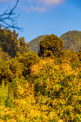 Fototapeta premium Paisaje en la Isla de La Palma, Islas Canarias.