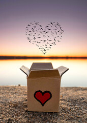 Unboxed Love: A Red Heart Releasing Birds in Heart Shape at Sunset Beach