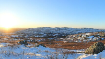 Melting ice sheet with scattered dark dust, symbolizing the urgent impact of environmental change.