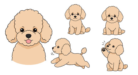 Adorable Poodle Dog Illustrations in Various Cute Poses and Expressions