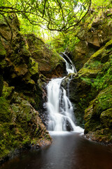 Fototapeta premium Falls 