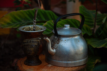 mate argentino sobre un tronco. mate con yerba mate y pava de acero. naturaleza.