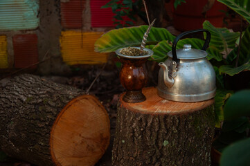 mate argentino sobre un tronco. mate con yerba mate y pava de acero. naturaleza.