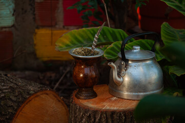 mate argentino sobre un tronco. mate con yerba mate y pava de acero. naturaleza.