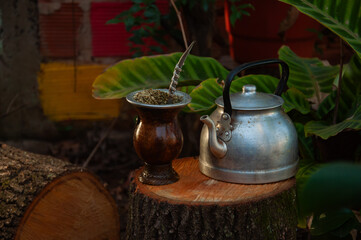 mate argentino sobre un tronco. mate con yerba mate y pava de acero. naturaleza.