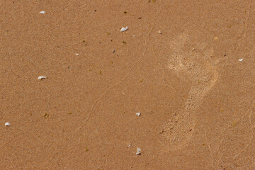 A footprint creates a shallow depression in the berach sand along Lake Michigan in early July at Harrington Beach State Park, Belgium, Wisconsin