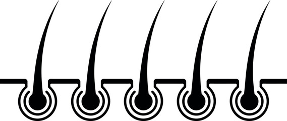 Healthy Hair Follicles:  Simple Black and White Icon Graphic