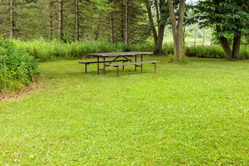 A quiet section of the north picnic area with its own picnic table within Pike Lake Unit, Kettle Moraine State Forest, Hartford, Wisconsin in mid-July