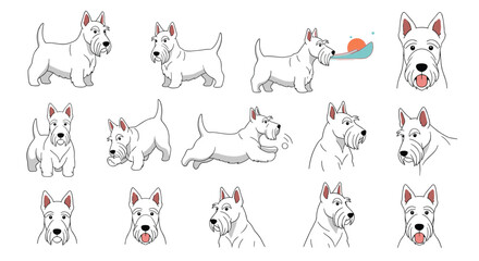 Collection of Adorable White Terrier Dog Poses and Expressions for Animation and Design Projects