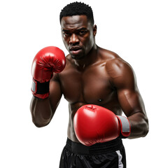 Boxer ready to fight isolated on transparent background