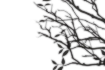 Messy Plant Shadow, Wild tangled leaf shadow in dark aesthetic PNG for natural organic effect and artistic backgrounds