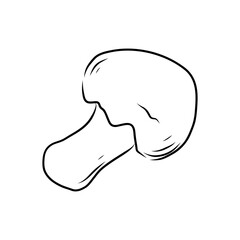 Hand drawn vector illustration of isolated line art mushroom on white background, outline vegetable icons for your design, menu, mockup, educational coloring book for children, food ingredient