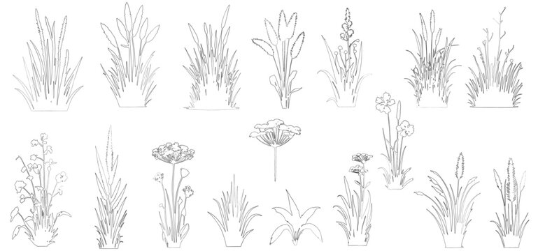 set of shrubs line cad, Ground cover. Illustration for elevation architectural element, side view, grass section.