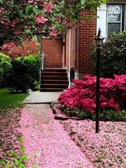 entrance to the garden