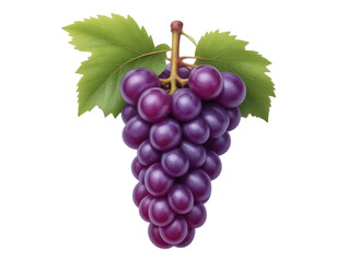 Fototapeta premium Ripe Bunch of Purple Grapes with Green Leaves