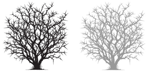 set of bare bush grass shrub herb bush bare tree silhouette vector transparent background