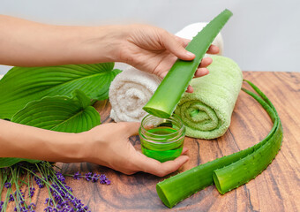 Aloe vera, towel, hands, lavender. DIY recipe for acne and dry skin. Aloe vera gel for skin problem.