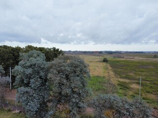 vista area de campo sembrado zona de bosque
