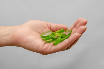 Slices green aloe vera in hand. Antioxidants, organic healing. Alternative medicine, health benefit.