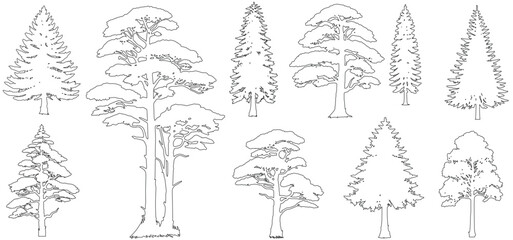 Obraz premium Minimal style cad tree line drawing, Side view, set of section wetland forest outline for landscape design drawing. Vector