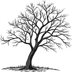Obraz premium Simple black outline of a bare tree perfect for nature or seasonal designs