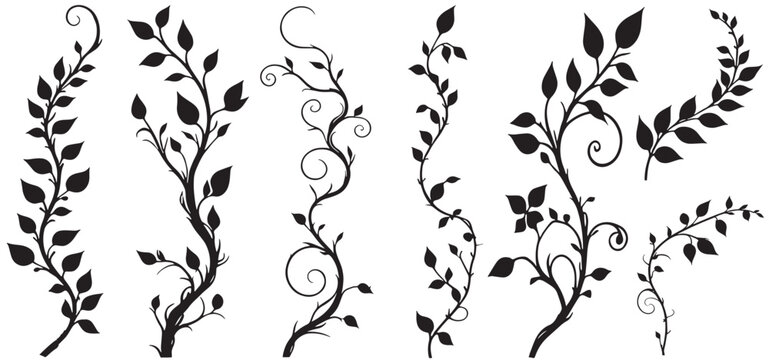 Jungle creeper silhouettes. Tropical forest lianas, rainforest hanging sprouts. Climbing liana vines flat set vector illustration