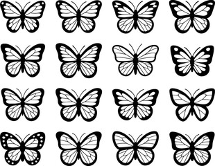 Fototapeta premium Black and white butterfly illustrations with intricate wing patterns and antennae insect