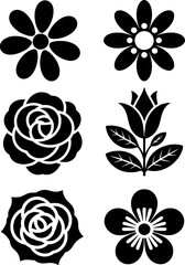 Black floral motifs and botanical illustrations flower rose