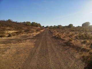 dirt road in the countryside