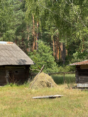 A haystack between two wooden barns. Against a backdrop of pine forest.