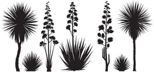 Collection of desert plant silhouettes yucca tree vector © shahzad