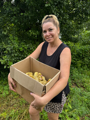 A woman holds a cardboard box with ducklings. Backyard poultry farming.