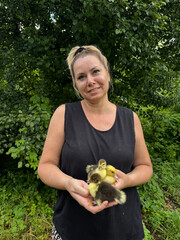 A woman holds several ducklings in one hand. Holds one in her other hand and shows it to the...