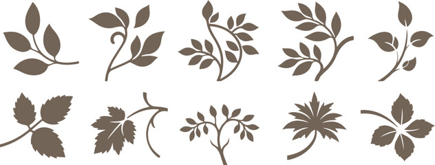 Fototapeta premium Collection of elegant brown botanical leaf and branch silhouettes isolated on transparent background for design