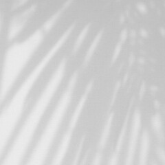 Obraz premium Black & White Natural Shadow